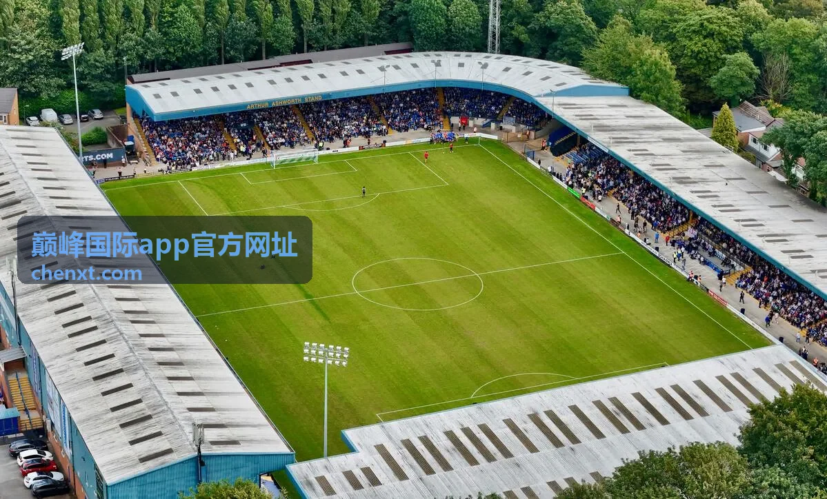 巅峰国际app官方网址在团队协作场景中的记录整理示意