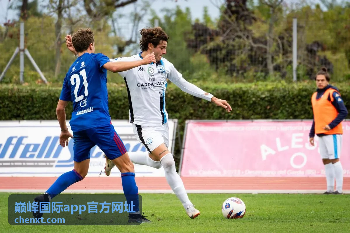 巅峰国际app官方网址入口识别与版本核对示意