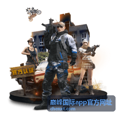 巅峰国际app官方网址首次安装与权限设置示意